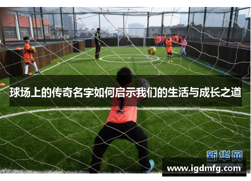 球场上的传奇名字如何启示我们的生活与成长之道