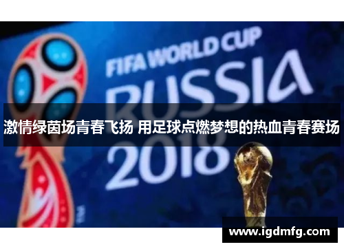 激情绿茵场青春飞扬 用足球点燃梦想的热血青春赛场
